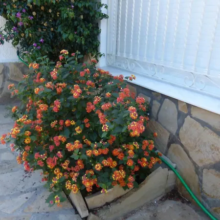 Casa Montgo Apartment Denia